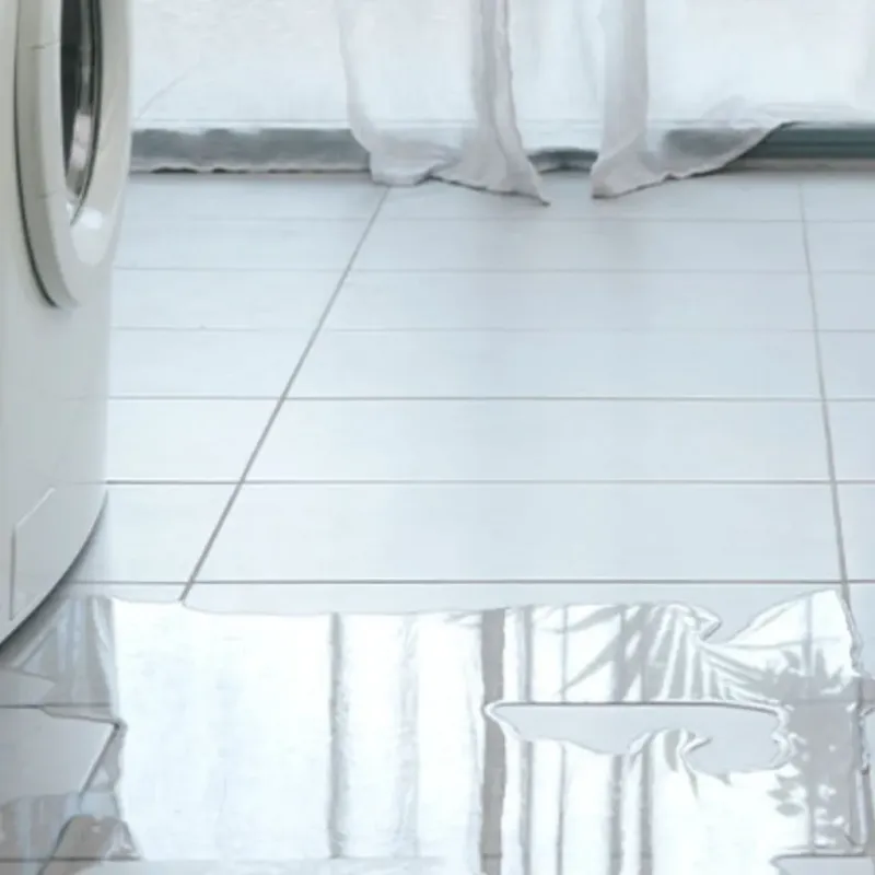 Appliance Leak Cleanup in Waltham, MA